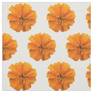 Flores Marigold naranja sobre tela blanca