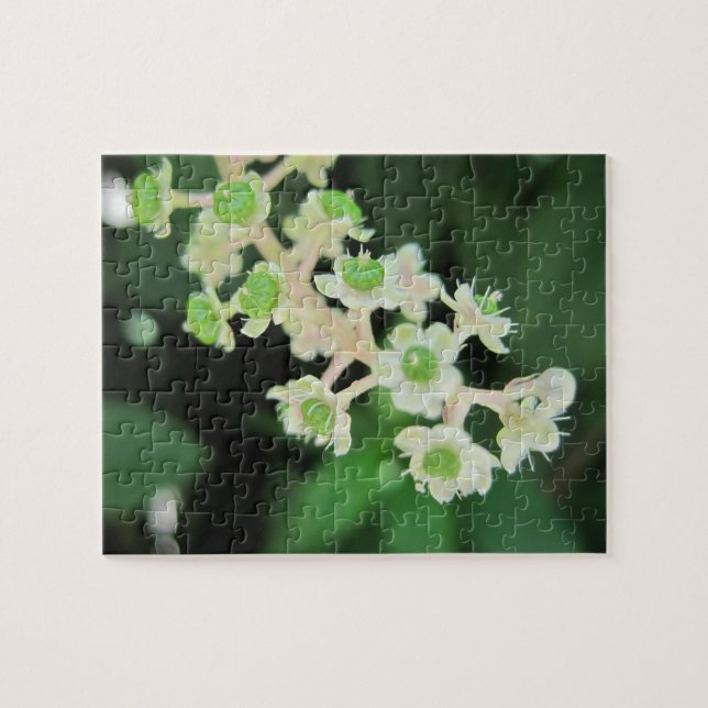 Flores minúsculas que relajan el rompecabezas de (Horizontal)