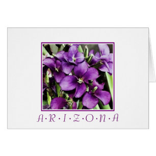 Flores moradas de Arizona