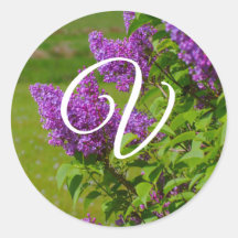 Flores moradas de bonito, Sellos para sobres de mo