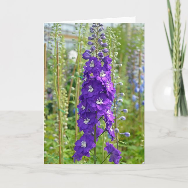 Flores moradas delfiníneas imprimir tarjeta de sal (Anverso)
