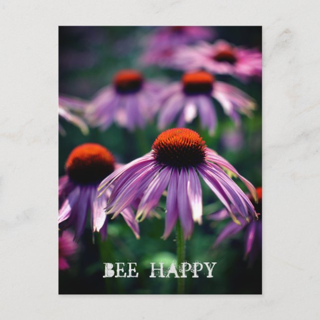 Flores moradas en la postal RHS Wisley (Anverso)