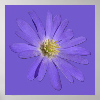 Flores moradas imprimen Poster de arte de margarit
