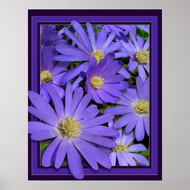 Flores moradas imprimen Poster de arte de margarit (Frente)