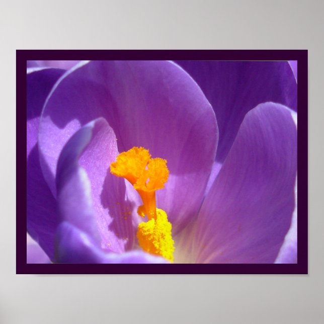 Flores moradas Imprimir la decoración Poster de Cr (Frente)