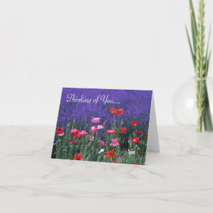 Flores moradas/rosas pensando en tu tarjeta de fel