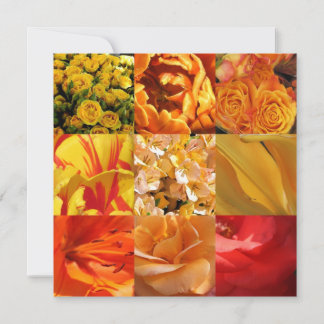 Flores naranja y amarilla