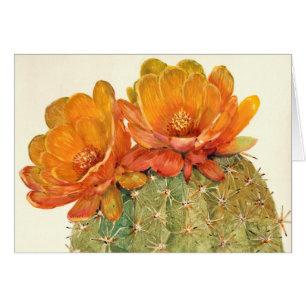 Flores Naranjas Cactus