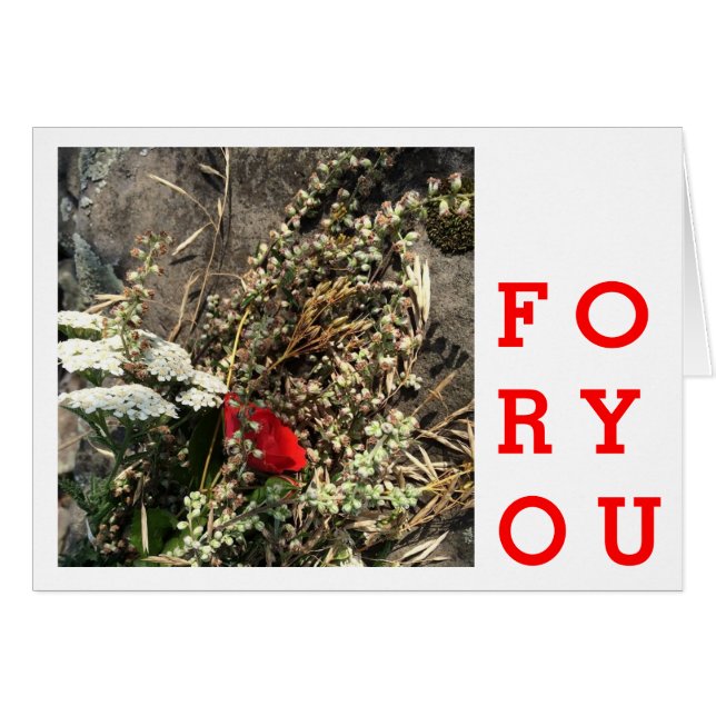 Flores naturales (Anverso (Horizontal))