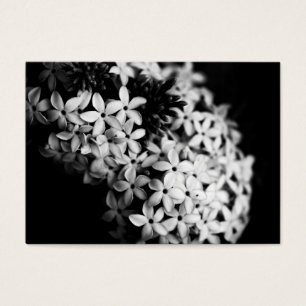 flores negras y blancas