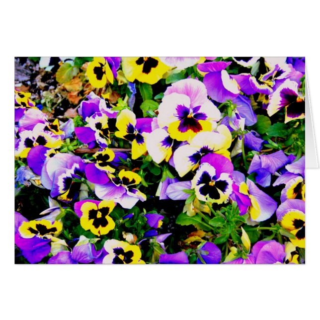 flores panantes (Anverso (Horizontal))
