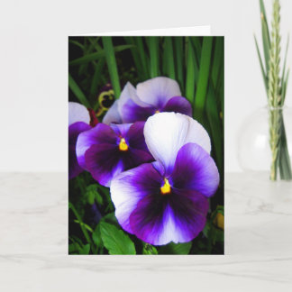 Flores Pansy - Tarjeta