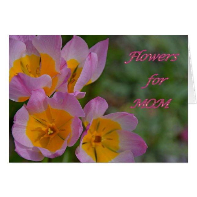 Flores para mamá (Anverso (Horizontal))