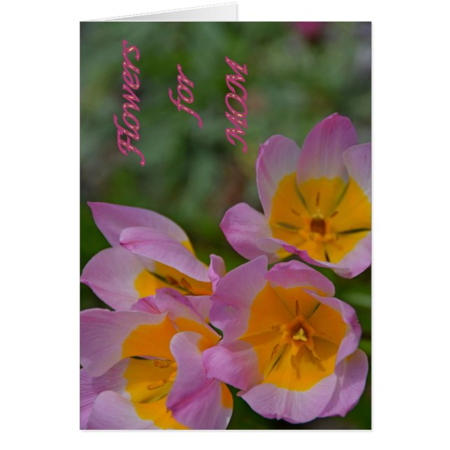 Flores para mamá (Frente)