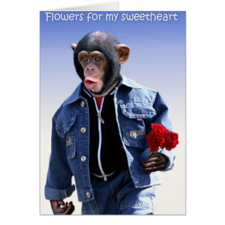 Flores Para Mi Querido