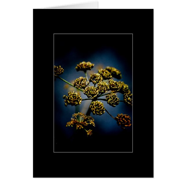 Flores perfumadas (Frente)