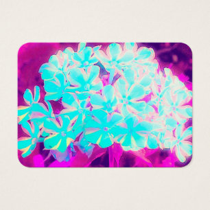 Flores Phlox de hierbabuena con hierbabuena azul d