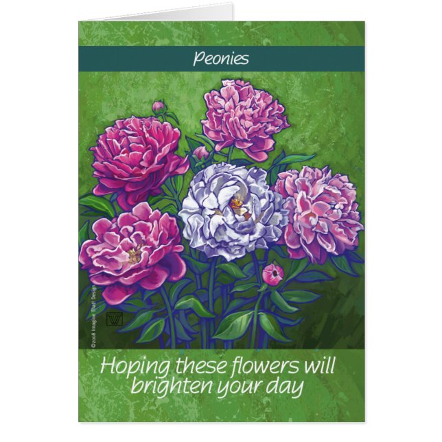 Flores PInk y White Peony (Frente)