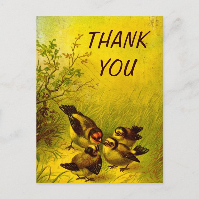 Flores pintadas de época gracias a la postal (Anverso)