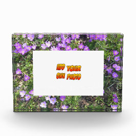 Flores Púrpura Crocus Cust. Bloque para fotos