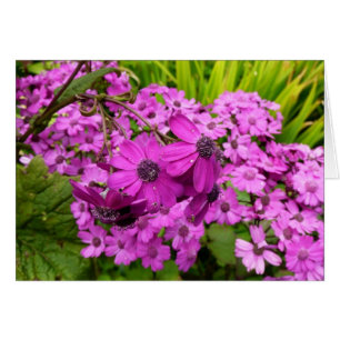 Flores púrpuras de San Francisco