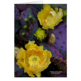 Flores púrpuras del amarillo del cactus de la