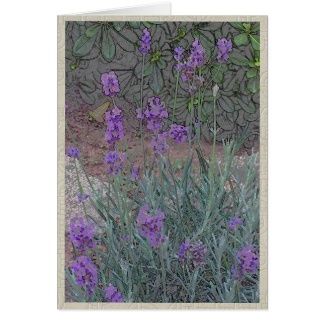 Flores púrpuras en un jardín del verano (Frente)