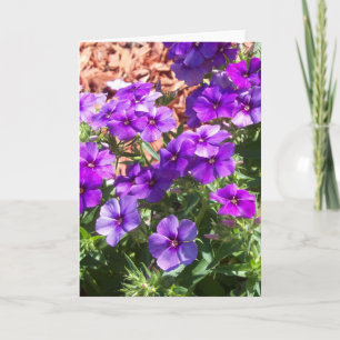 Flores púrpuras en una tarjeta de felicitación en