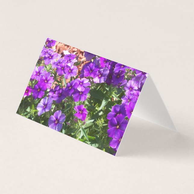 Flores púrpuras en una tarjeta en blanco (Anverso)