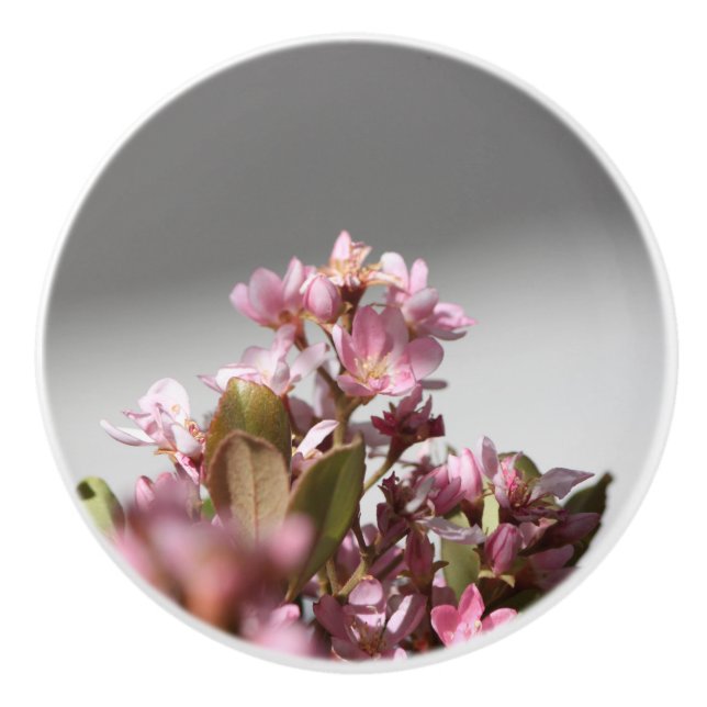 Flores púrpuras púrpura pomo cerámico (Anverso)