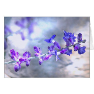 Flores púrpuras que brillan intensamente