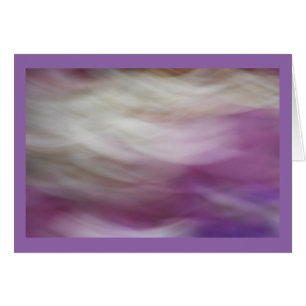 Flores púrpuras y blancas