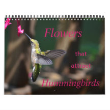 Flores que atraen el calendario de Hummingbirds