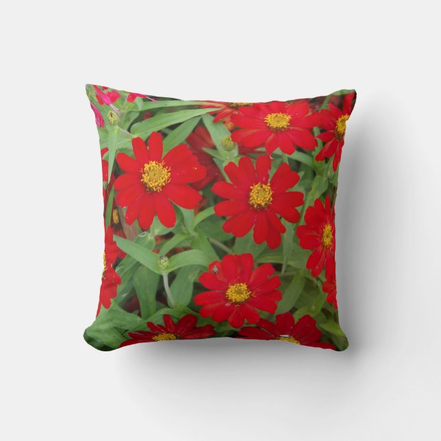 Flores rojas con almohada de los centros amarillos (Anverso)