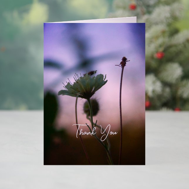 Flores Románticas Boho – Fantasía Botánica Gracias (Vacaciones in situ)