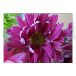 Flores rosadas