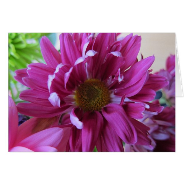 Flores rosadas (Anverso (Horizontal))