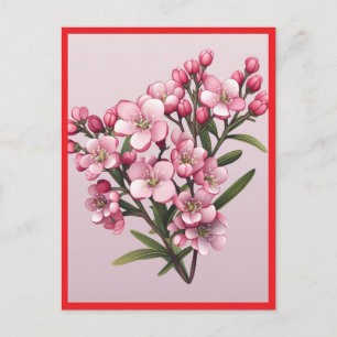 Flores rosadas #2 Tarjeta postal