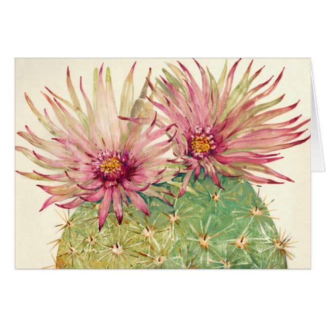 Flores rosadas de Cactus (Anverso (Horizontal))