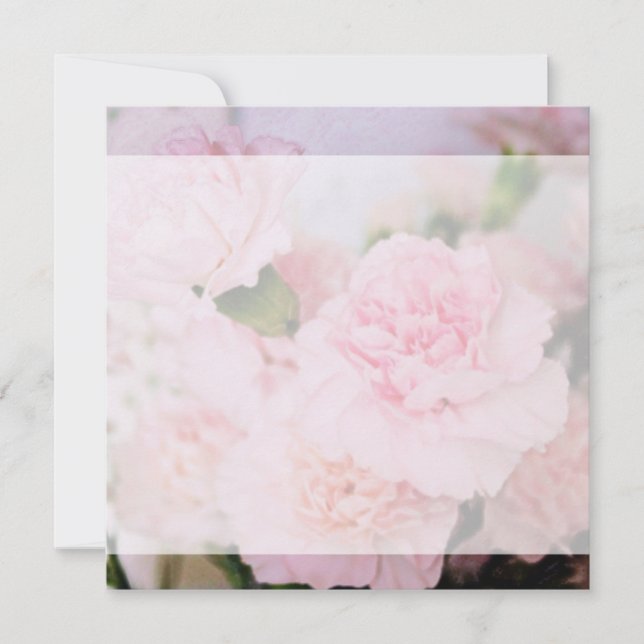 flores rosadas de clavel todas invitaciones en bla (Anverso)