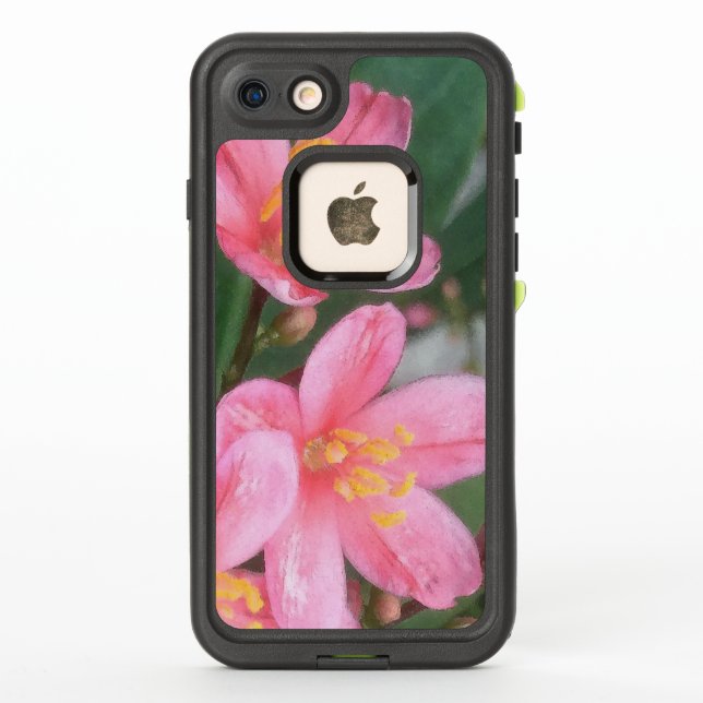 Flores rosadas de Key West (Reverso)