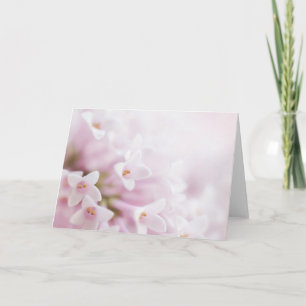 Flores rosadas de las tarjetas de felicitación