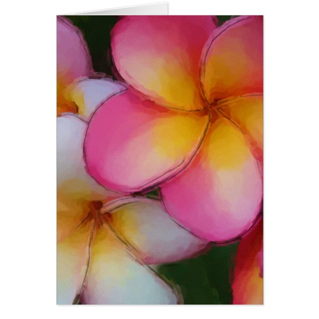 Flores rosadas del Plumeria del Frangipani (Frente)