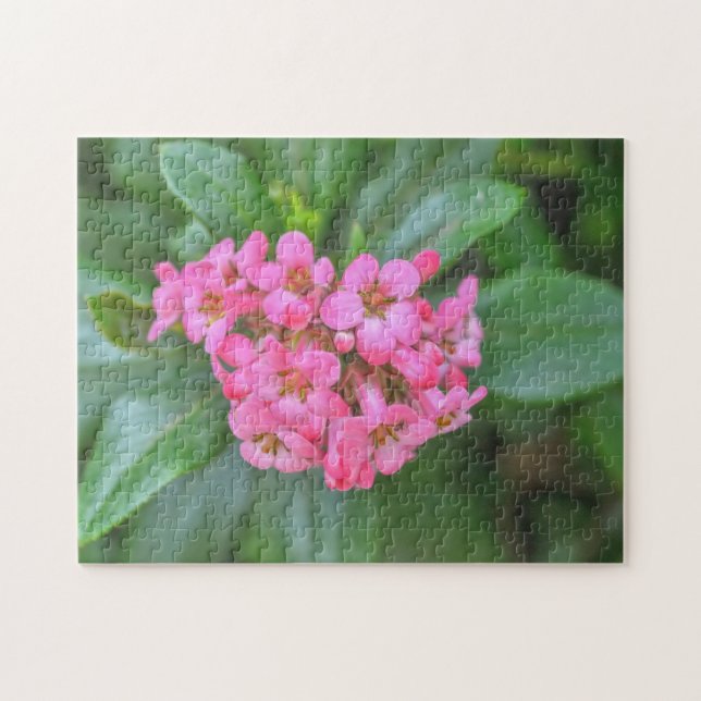 Flores rosadas delgadas Rompecabezas florales en e (Horizontal)