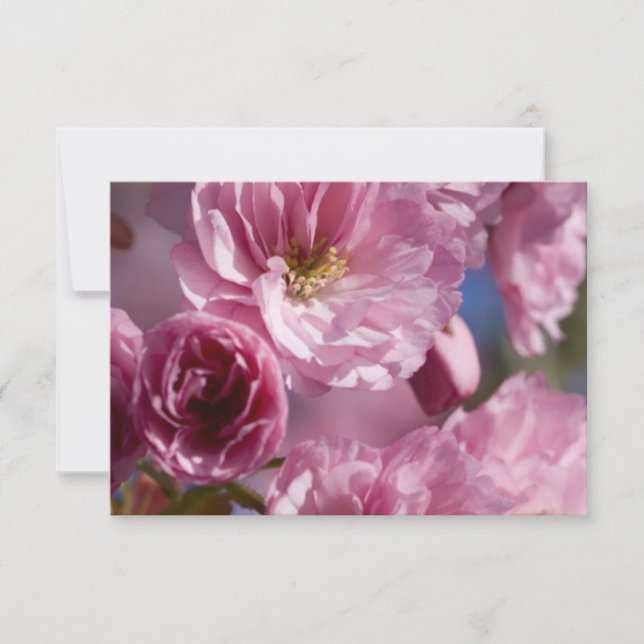 Flores rosas (Anverso)