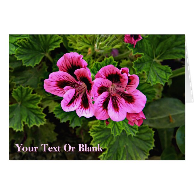 Flores rosas 1 (Anverso (Horizontal))