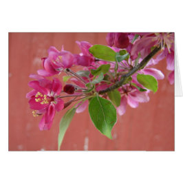 Flores rosas en el árbol, Día de la Madre