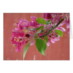 Flores rosas en el árbol, Día de la Madre