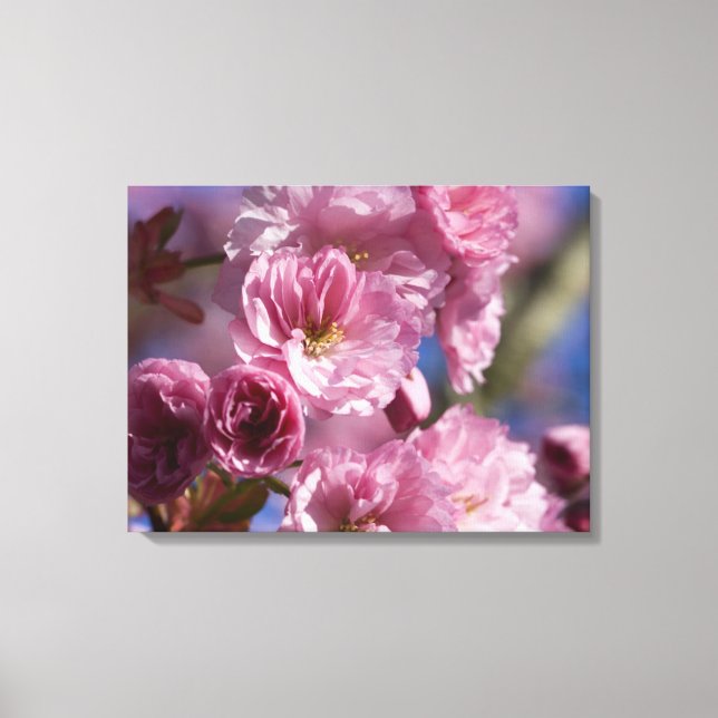 Flores rosas en el arte mural de cerezos japoneses (Anverso)