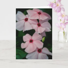 Flores rosas Flores Floral Art Blank Tarjeta de No